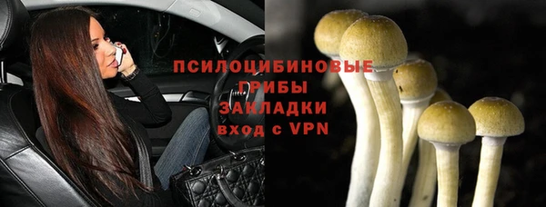 дживик Лихославль