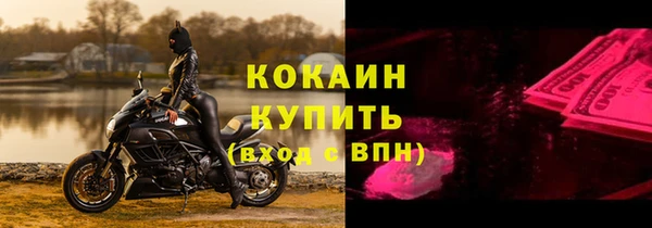 дживик Ладушкин