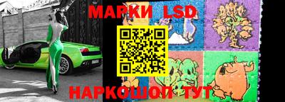 шишки Заволжье