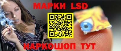 шишки Заволжье