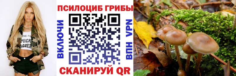 это телеграм  гидра ССЫЛКА  Галлюциногенные грибы Cubensis  Сочи  где можно купить  