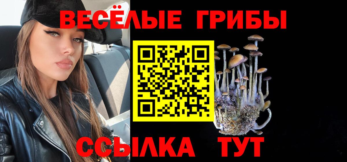 Галлюциногенные грибы Psilocybine cubensis  Вход с VPN  Сочи  Галлюциногенные грибы ЛСД 