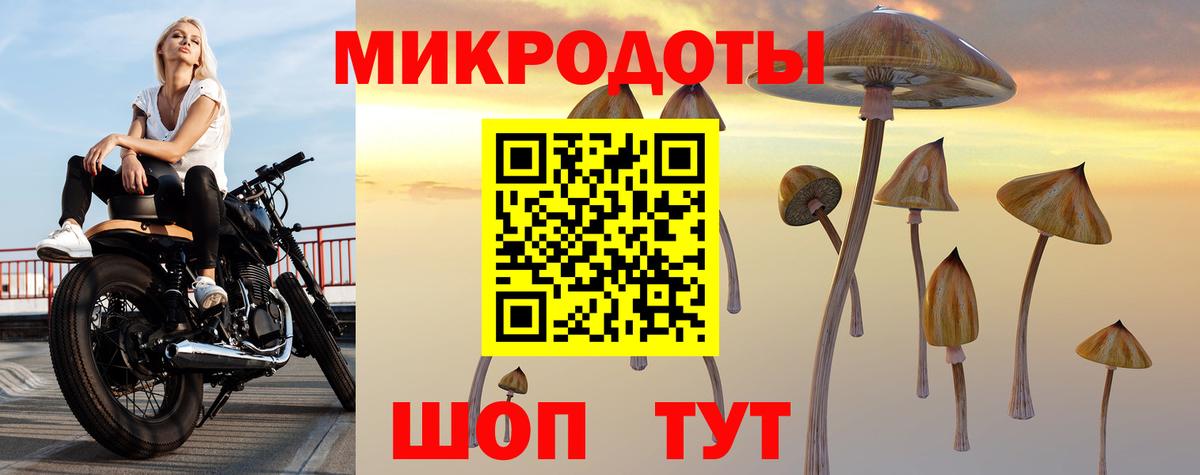 Псилоцибиновые грибы Cubensis Сочи